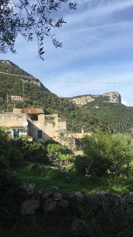 Casa Olivia Lacrema Finale Ligure Bagian luar foto